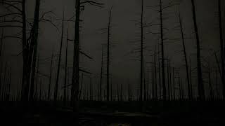 The Loggers of Mount St. Helens | May 18, 1980