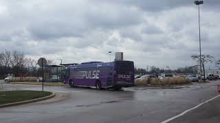 Pace Bus: Jefferson Park bound Axess BRT 6511 Pulse Milwaukee Line at Golf Mill