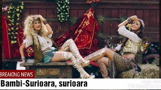 BAMBI-Surioara, surioara