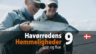 Havørredens Hemmeligheder 9 - spin og flue