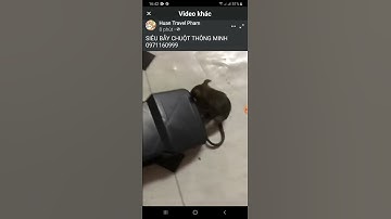 Siêu bẫy chuột thông minh thế hệ mới,  kẹp bẫy chuột