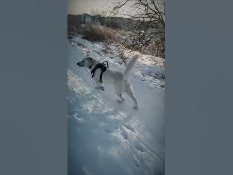 улыбка до ушей 😅 - YouTube