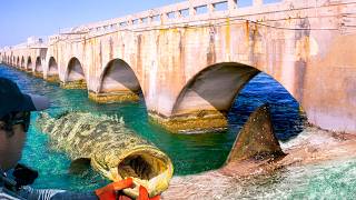 GOLIATH GROUPER AND BULL SHARK | Fishing Florida Keys Bridges