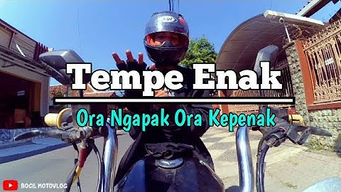 TEMPE - Ora Ngapak Ora Kepenak #cingire #DDK