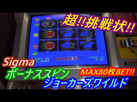 メダルゲーム　ヒョーザーン　抽選スロープ 画像ギャラリー No.004 | アミューズメント施設向けメダルゲーム