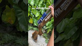 Download Lagu Pcp premium KALIMOSODO #kalimosodo #pcpjawa #pcpbiggame #senapananginpcpbiggame #senapanangin MP3