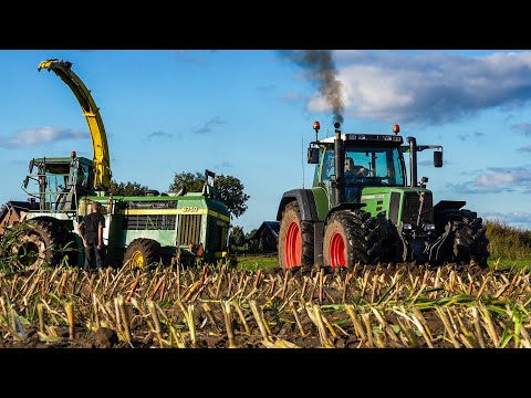 Mais 2024 | STUCK in the MUD | Fendt Favorit 818 + John Deere 6750 | Molenaar/Vlastuin