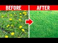 Kill a Lawn Full of Weeds Without Harming the Grass