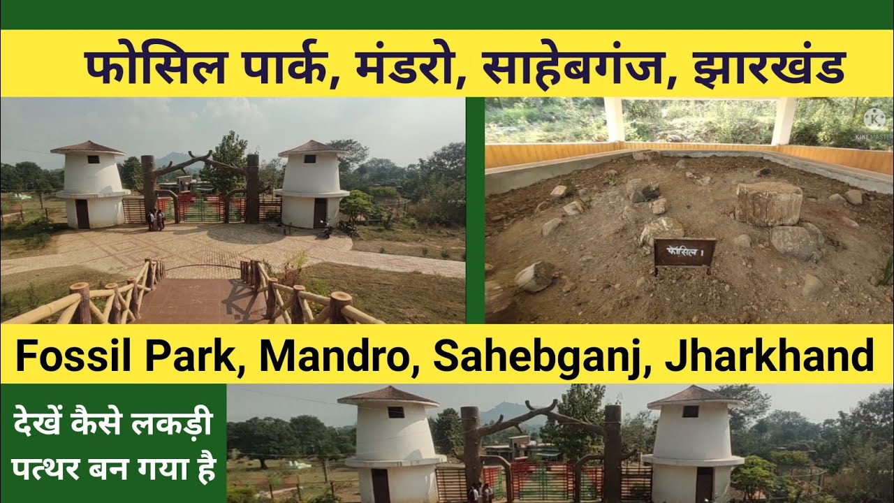 Fossil Park Mandro, Sahebganj, Jharkhand, फोसिल पार्क मंडरो
