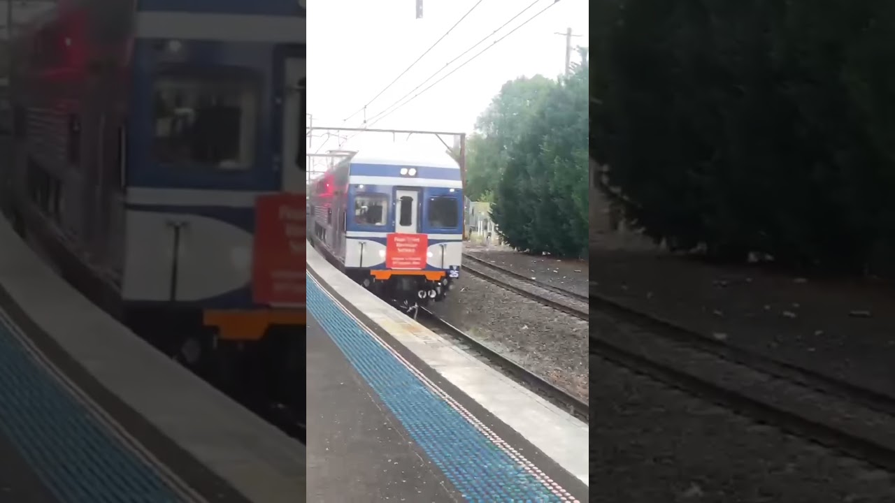 End of the Line Era, Vset last an final run service (The Blue Goose) V10 & V25