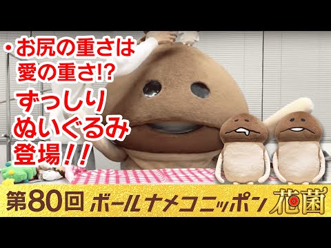bnn】ボールナメコニッポン花菌 第80回「なめこのずっしりぬいぐるみ