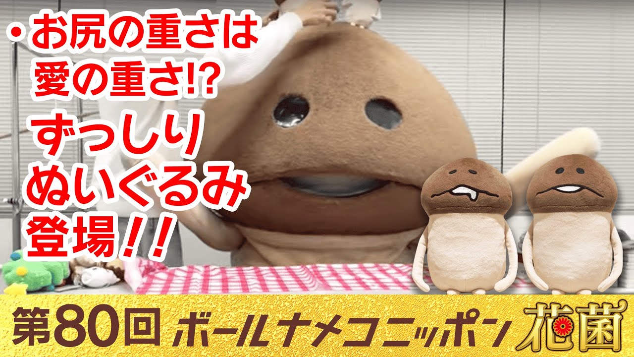 bnn】ボールナメコニッポン花菌 第80回「なめこのずっしりぬいぐるみ