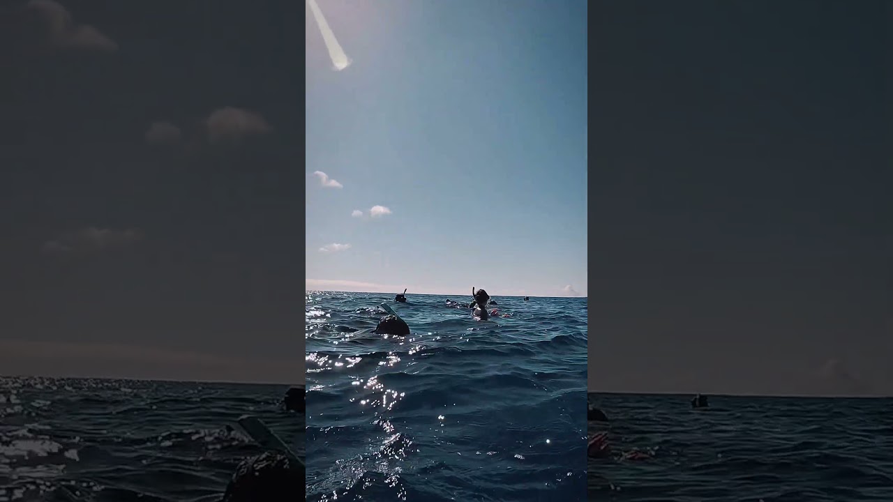 A Humpback Whale Breached Right in Front of Me | French Polynesia