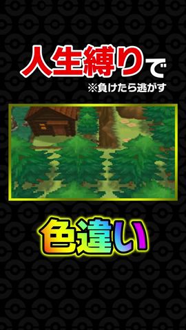 色違いは忘れた頃にやってくる
