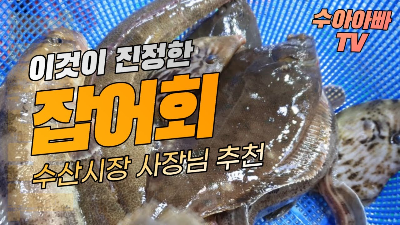이게 진정한 잡어회! 수아아빠가 자신있게 권해드립니다. 잡어회 수율은? [수아아빠TV]