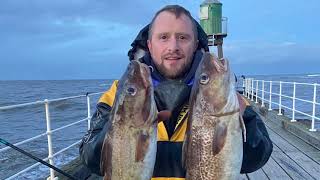 MOGSAF visits Runswick bay and Whitby, Cod fishing