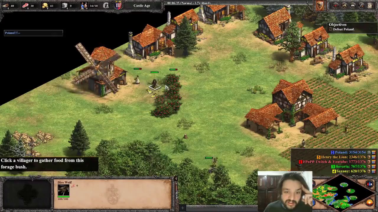 dire wolf bug in aoe 2 DE