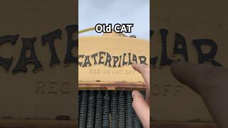 100 Year Old Cat Logo