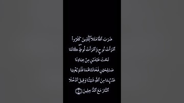 #سورة #التحريم #للقارئ عبد الرحمن السديس