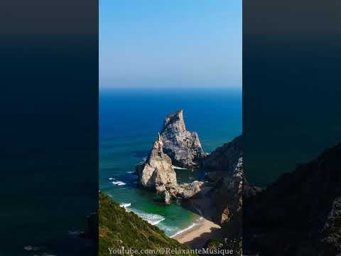 Relaxation Short FR Ursa