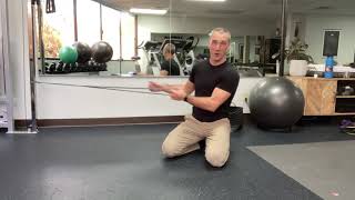 Quadruped Single Arm Cable Pulldown