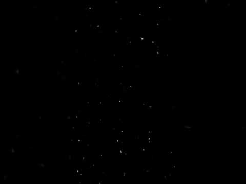 المشاعر مش كلام وائل الجسار