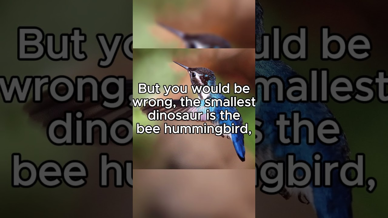 What was the Smallest Dinosaur