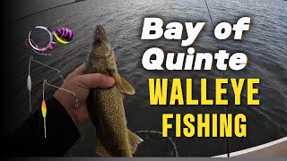 WALLEYE Fishing Frenzy on Ontario's Bay of Quinte!