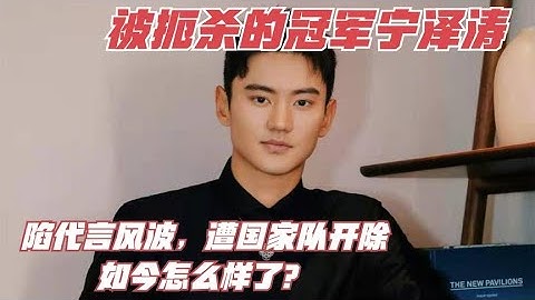 被扼杀的冠军宁泽涛：陷代言风波，遭国家队开除，如今怎么样了？ - 天天要闻