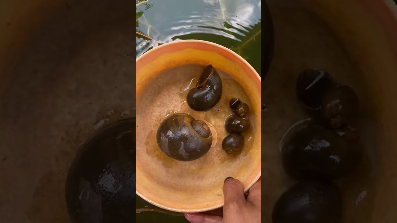 Sky's Reflection on Water ☁️ 