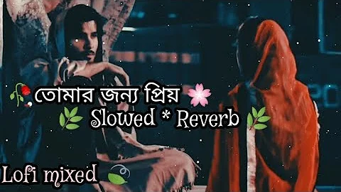 Mind Relax Lo-fi |Bangla Mashup Lofi Songs |Feel The Music| Bangla sad gaan (slowed reverb) Sad Song