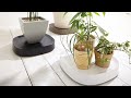 Plantable [ tidy ]