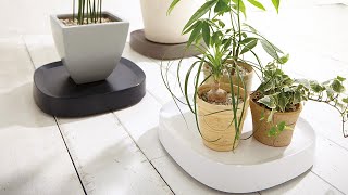 Plantable [ tidy ]