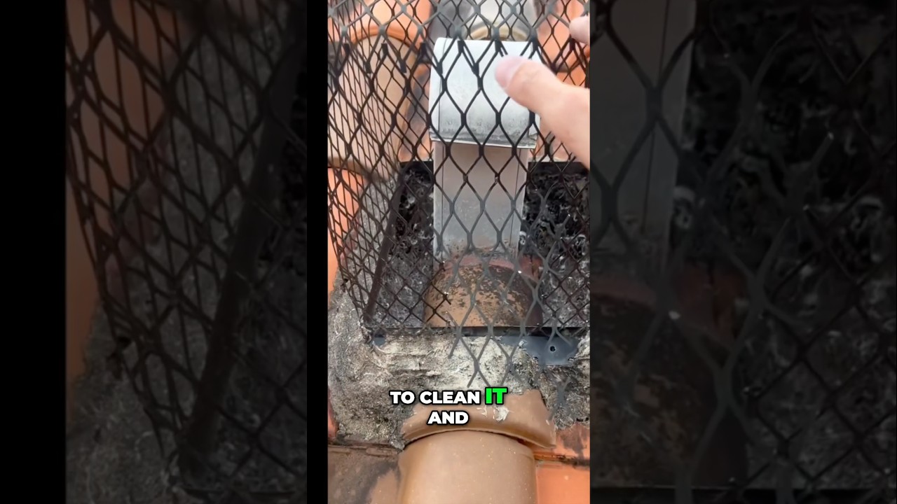 Prevent Dryer Vent Clogs: The Ultimate Animal-Proof Solution 