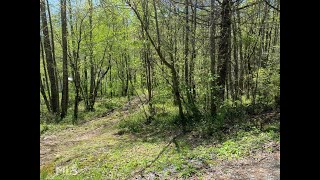 Lots And Land for sale - 0 Emerald Ln # 2+ Ac, Mineral Bluff, GA 30559
