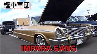 インパラ Youtube