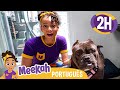 Meekah Brinca com Animais do Abrigo! | 2 HORAS DA MEEKAH BRASIL! | Blippi em Português