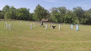 Koda - jump grid with bend - 05-30-2023