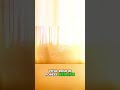 Controlled Burns - Saving Forests with Fire #forestry #agriculture #agriculturebusiness