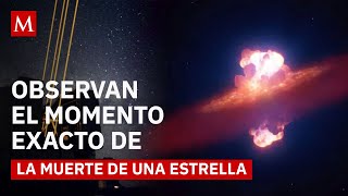 Astrónomos Presencian Por Primera Vez Cómo Una Estrella Muere En El Universo
