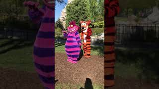 The Cheshire Cat Dances And Plays With Tigger - Disneyland 101721 In Front Of Tomorrowland
