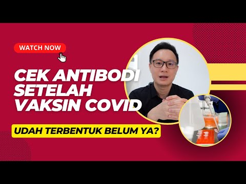 Video: Jumlah antibodi terhadap coronavirus dan apa itu