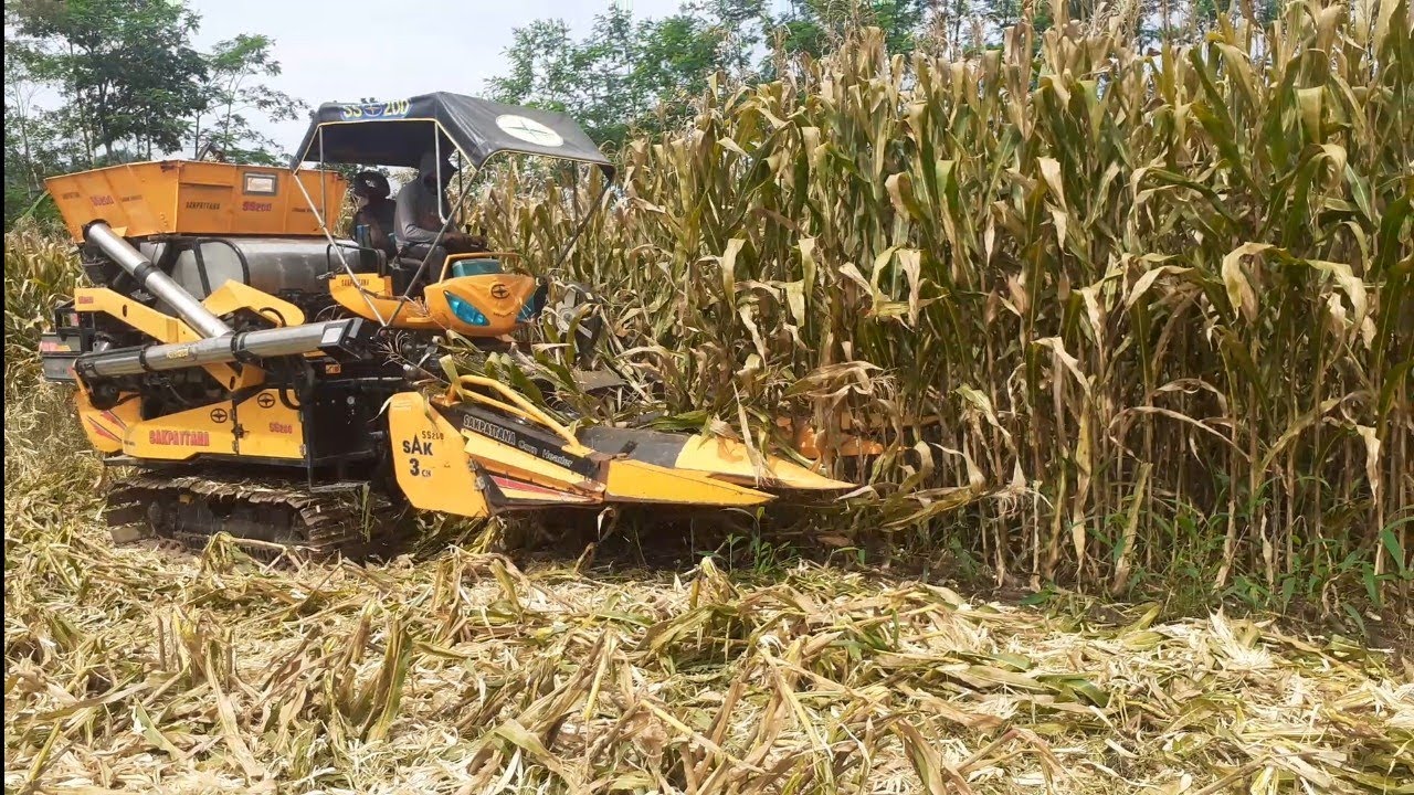 Panen menggunakan Alat Modern Cepat Dan Praktis, Segini Biaya Sewanya