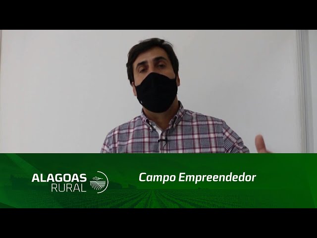 Campo Empreendedor