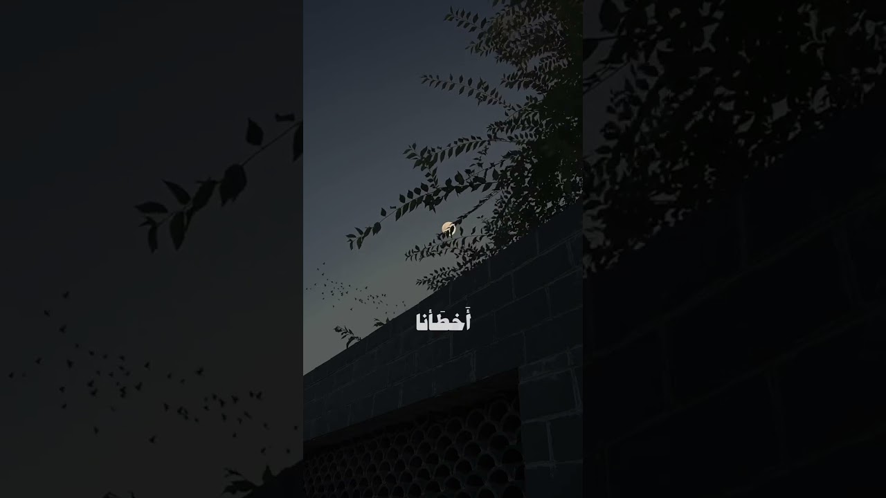 تلاوة خاشعة من سورة البقرة للقارئ علي جابر🤍