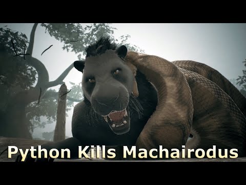 Python Kills Machairodus - Ancestors The Humankind Odyssey