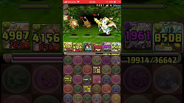 تحميل パズドラ 協力進化ラッシュ Mp4 Mp3