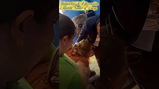 liberación de demonio de muerte y destrucción |PASTOR DANIEL HERNANDEZ