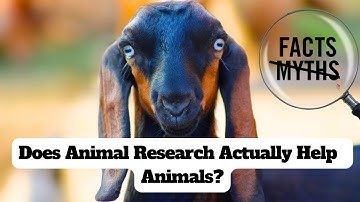 Best Animal Welfare Practices For Farm Animal Research