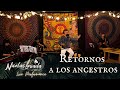 Nicolas Losada - Retorno a los Ancestros (live performance 2021) | Música Medicina